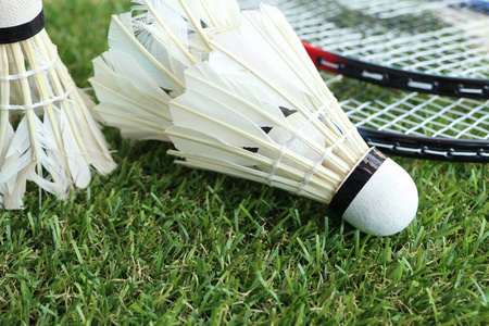 逐渐展示出 逐渐展示出