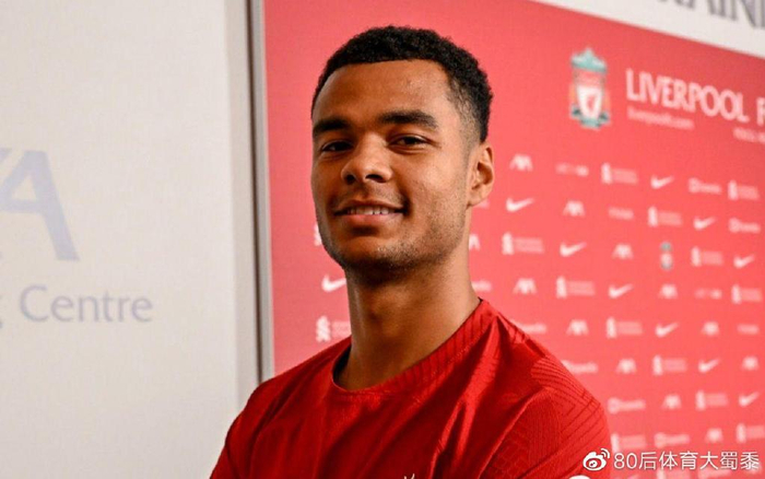 这些要素叠 这些要素叠